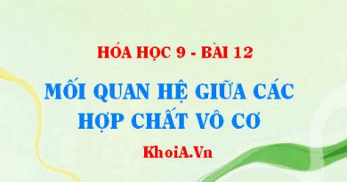 Hệ thống bằng sơ đồ mối quan hệ giữa các Hợp chất Vô cơ và các phản ứng hóa học minh họa - Hóa 9 bài 12